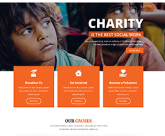 NGO Website Development
